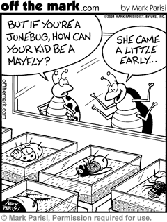 June-Bug